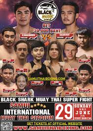 International Muay Thai Stadium gallery image